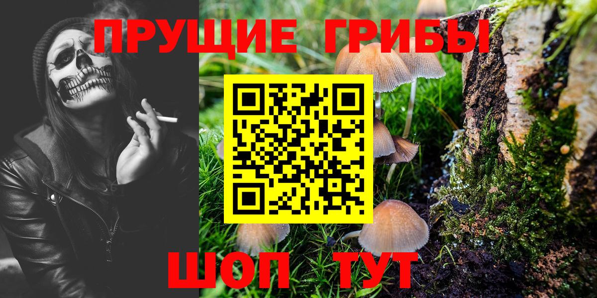 Саранск  Галлюциногенные грибы Magic Shrooms  Вход с VPN  Псилоцибиновые грибы Magic Shrooms 