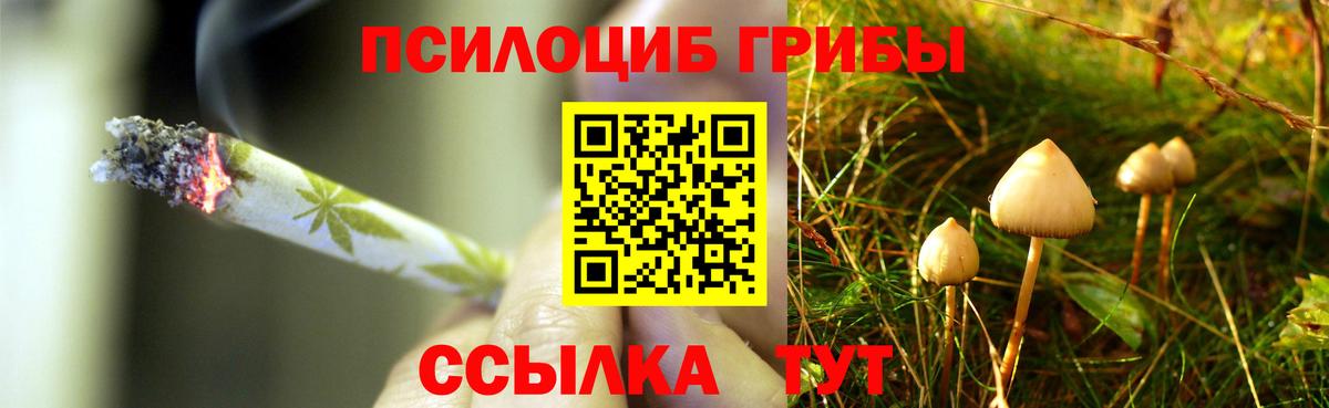 Псилоцибиновые грибы мухоморы Саранск